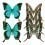 Butterflies Mix 4 Panel Curious Collections Bleu turquoise CC-butterflies-mix-4