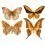 Butterflies Mix 5 Panel Curious Collections Orange CC-butterflies-mix-5