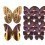 Butterflies Mix 12 Panel Curious Collections Violet CC-butterflies-mix-12