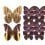 Carta da parati panoramica Butterflies Mix 12 Curious Collections Violet CC-butterflies-mix-12