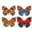 Butterflies Mix 10 Panel Curious Collections Orange/Bleu CC-butterflies-mix-10