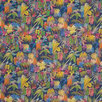 Tissu Galearis