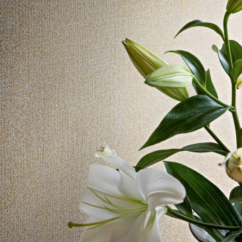 Lacework Wall Covering Agrilla Rubelli