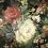 Carta da parati panoramica Impressionist Floral York Wallcoverings Red/Black MU0246M