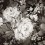 Panoramatapete Impressionist Floral York Wallcoverings Grey/Neutral MU0248M