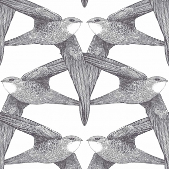 Papier peint panoramique Birds