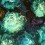 Velours Mirafiore Rubelli Smeraldo 30123-002