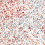 Panoramatapete Stardust Bien Fait MCM BF-STA-MCM-SM