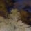 Papeles pintados panorámico Alchemy 11 Labo Léonard Jaune/Blanc Alchemy-11