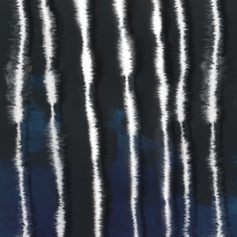 Papier peint panoramique Graph 7 Bleu/Noir Labo Léonard