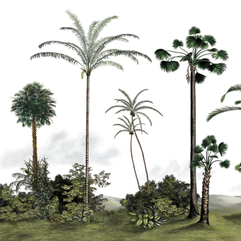 Papier peint panoramique Palma Green Les Dominotiers