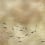 Papeles pintados panorámico Koi Metallics Coordonné Gold 9600060