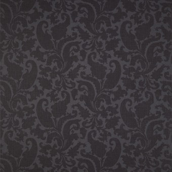 Tela Wikipaisley