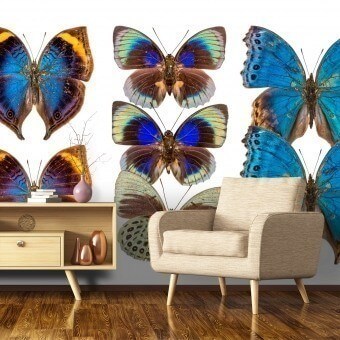 Panoramatapete Butterflies Mix 3 Bleu Roi Curious Collections