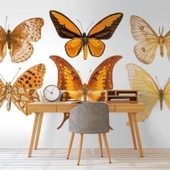 Panneau Butterflies Mix 5 Orange Curious Collections
