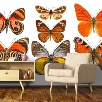 Butterflies Mix 9 Panel Orange/Jaune Curious Collections