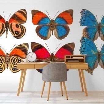 Butterflies Mix 10 Panel Orange/Bleu Curious Collections