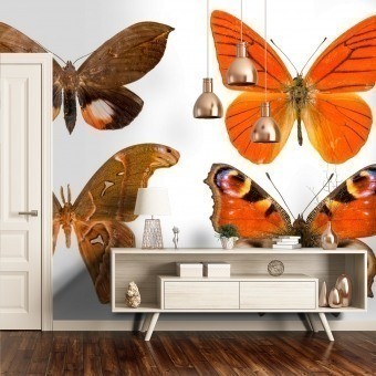 Carta da parati Murale Butterflies Mix 11 Orange Curious Collections