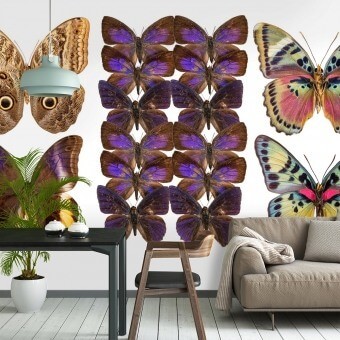 Panneau Butterflies Mix 12 Violet Curious Collections