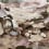 Carta da parati panoramica Les Songes Toscans Arte Moorland 97521