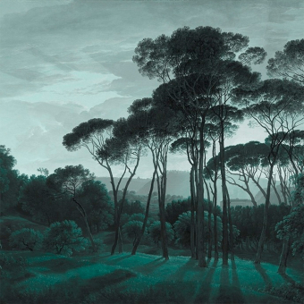 Papier peint panoramique Pine Trees