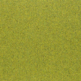 Cheviot Wool