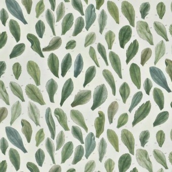Tissu Leaf Specimens