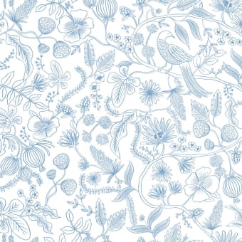 Aviary adhesive wallpaper
