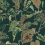 Tapete Jungle Cat York Wallcoverings Dark green HO2146