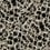 Carta da parati Leopard coccardas York Wallcoverings Black HO2162