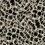Leopard Rosettes Wallpaper York Wallcoverings Black HO2162