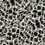 Carta da parati Leopard coccardas York Wallcoverings Black/Off White HO2164