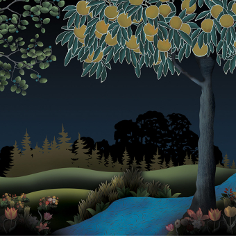 Paneel Wild Orchard Collage bleu-nuit Yo2
