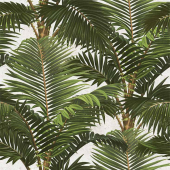 Papier peint panoramique Jardin Tropical Green/Brown/White Mindthegap