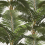 Carta da parati panoramica Jardin Tropical Mindthegap Green/Brown/White WP20104