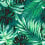 Papier peint panoramique Rainforest Mindthegap Green/Black WP20108