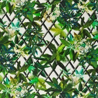 Stoff Canopy Lime Christian Lacroix