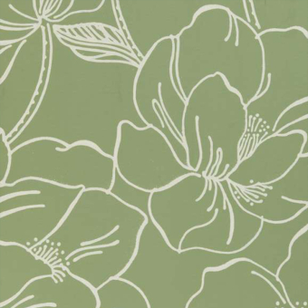 Helleborus Wallpaper