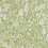 Atacama Wallpaper Farrow and Ball Vert BP5804