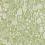 Papel pintado Atacama Farrow and Ball Vert BP5804
