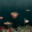 Papier peint panoramique Deep Ocean Coordonné Atlantic 9500500