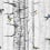 Birch Trees Wallpaper Coordonné Grey 9500040