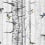 Papier peint Birch Trees Coordonné Grey 9500040