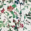 Papel pintado Goldfinch Song Coordonné Cotton 9500030