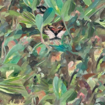 Hidden Puma Wallpaper