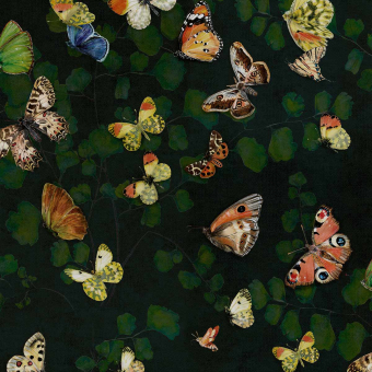 Magic Butterflies Wallpaper Doux Coordonné