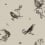 Papel pintado Sweet Birds Coordonné Noir 9500072