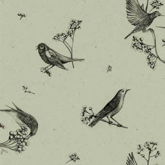 Sweet Birds Wallpaper