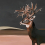 Panoramatapete Great Deer Coordonné Nude 9500200
