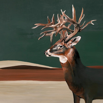 Papeles pintados Great Deer